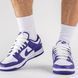 Кросівки чоловічі Nike Dunk Low Court Purple DD1391-104, 45.5, В наявності, доставка 1-2 дні