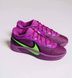 Кросівки баскетбольні Nike Giannis Freak 6 Violet FJ7792-500