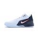 Кросівки баскетбольні Nike LeBron NXXT Gen First Game White Black FJ1566-100, 42, В наявності, доставка 1-2 дні
