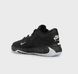Кросівки баскетбольні Nike Zoom Freak 5 Black DX4985-003, 46, В наявності, доставка 1-2 дні