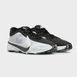 Кросівки баскетбольні Nike Zoom Freak 5 ''Oreo'' White Black DX4985-101, 41, В наявності, доставка 1-2 дні