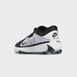Кросівки баскетбольні Nike Zoom Freak 5 ''Oreo'' White Black DX4985-101, 41, В наявності, доставка 1-2 дні