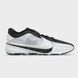 Кросівки баскетбольні Nike Zoom Freak 5 ''Oreo'' White Black DX4985-101, 41, В наявності, доставка 1-2 дні