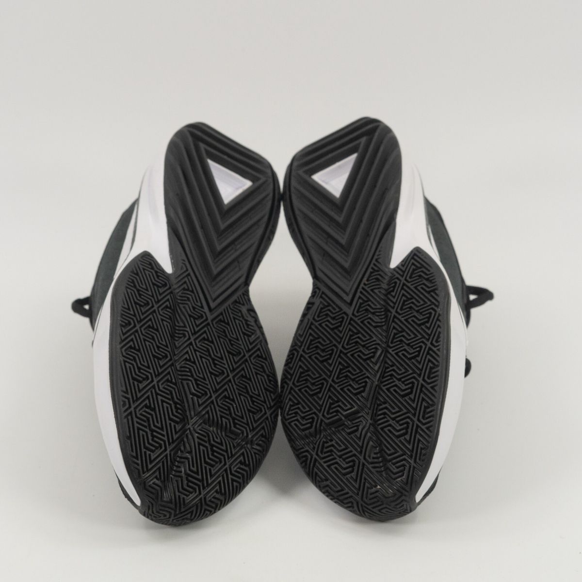 Кросівки баскетбольні Nike Zoom Freak 5 TB Black White DZ2946-001, 44, В наявності, доставка 1-2 дні