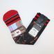 Шкарпетки унісекс Stance NBA Allen Iverson Philadelphia 76ers Crew Socks Multicolor M320D13ALL-SIX, L (42-46), В наявності, доставка 1-2 дні