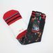 Шкарпетки унісекс Stance NBA Allen Iverson Philadelphia 76ers Crew Socks Multicolor M320D13ALL-SIX, L (42-46), В наявності, доставка 1-2 дні