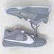 Кросівки баскетбольні Nike Zoom Freak 5 TB Wolf Grey DZ2946-002, 42.5, В наявності, доставка 1-2 дні