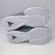 Кросівки баскетбольні Nike Zoom Freak 5 TB Wolf Grey DZ2946-002, 42.5, В наявності, доставка 1-2 дні