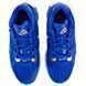 Кросівки баскетбольні підліткові Nike Zoom Freak 1 GS Royal Blue BQ5633-400, 40, В наявності, доставка 1-2 дні