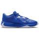 Кросівки баскетбольні Nike Zoom Freak 5 TB Royal Blue DZ2946-400, 44, В наявності, доставка 1-2 дні