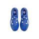 Кросівки баскетбольні Nike Zoom Freak 5 TB Royal Blue DZ2946-400, 44, В наявності, доставка 1-2 дні
