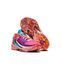Кросівки баскетбольні Nike Zoom Freak 4 Vivid Purple DQ3824-500, 44, В наявності, доставка 1-2 дні