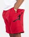 Шорты Jordan Jumpman Air Fleece Shorts (CK6707-687), M