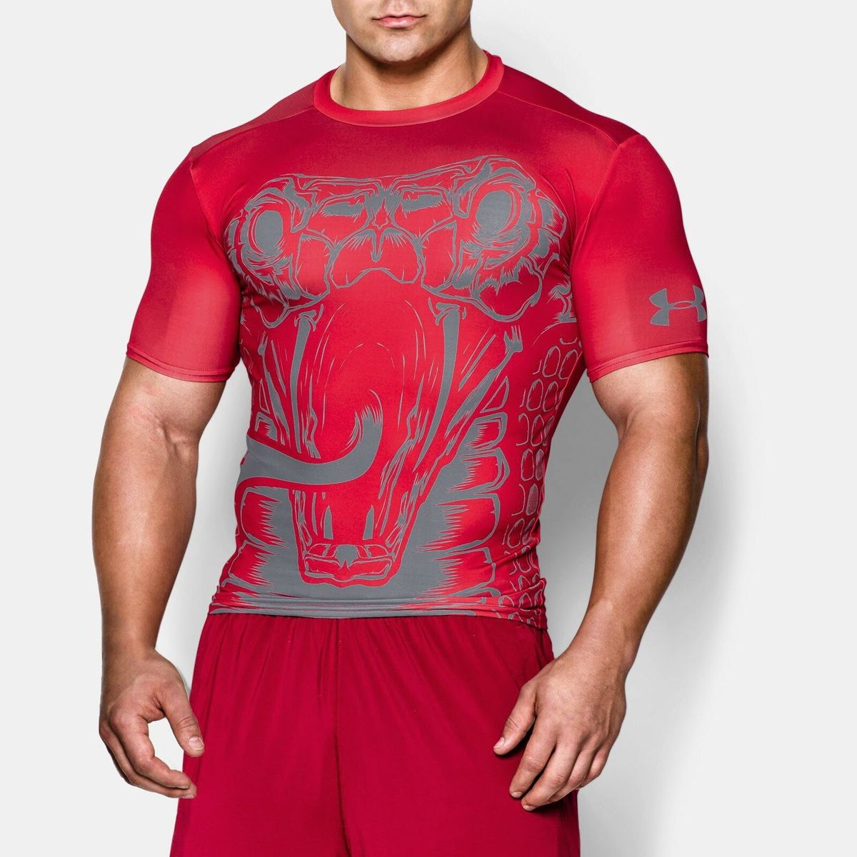 Компрессионная футболка Under Armour Alter Ego Beast Viper Compression Top (1254140-600), L