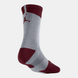 Шкарпетки баскетбольні Jordan Dri-Fit Crew Basketball Socks Grey Red 530977-029, M (38-42), В наявності, доставка 1-2 дні