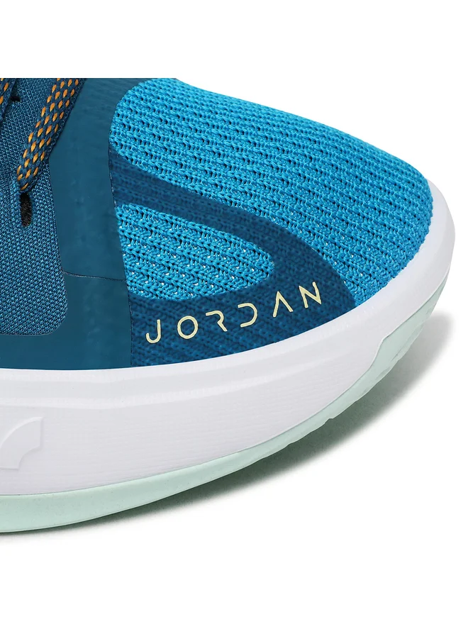 Кросівки баскетбольні Jordan Zoom Separate DH0249-484, 42, В наявності, доставка 1-2 дні