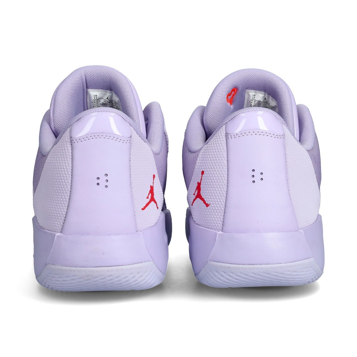 Кросівки баскетбольні Jordan Luka .77 Violet HF0806-500, 47.5, В наявності, доставка 1-2 дні