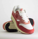 Кросівки жіночі Nike W Air Max 1 Sail Cedar Red DZ2628-103, 37.5, В наявності, доставка 1-2 дні